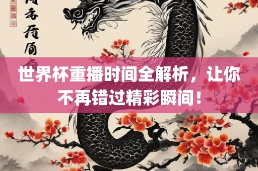 世界杯重播时间全解析，让你不再错过精彩瞬间！