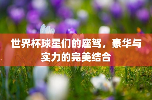 世界杯球星们的座驾，豪华与实力的完美结合