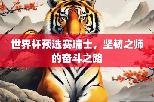 世界杯预选赛瑞士，坚韧之师的奋斗之路