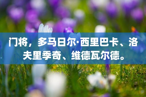 门将，多马日尔·西里巴卡、洛夫里季奇、维德瓦尔德。