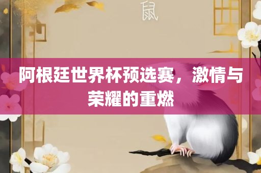 阿根廷世界杯预选赛，激情与荣耀的重燃