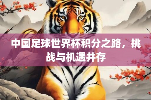中国足球世界杯积分之路，挑战与机遇并存