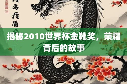 揭秘2010世界杯金靴奖，荣耀背后的故事