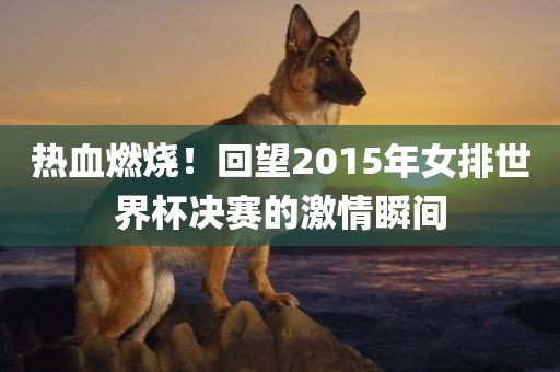 热血燃烧！回望2015年女排世界杯决赛的激情瞬间