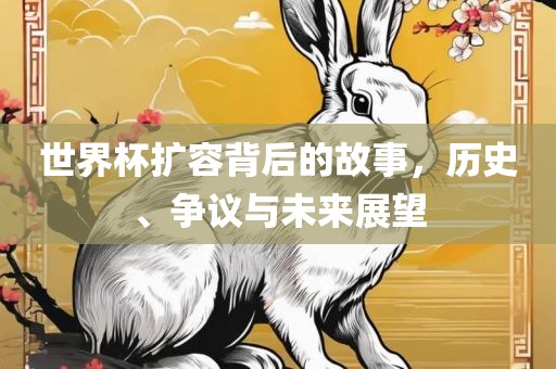 世界杯扩容背后的故事，历史、争议与未来展望