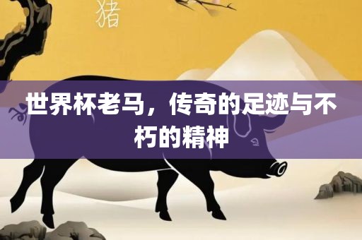 世界杯老马，传奇的足迹与不朽的精神