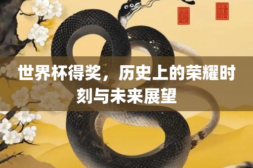 世界杯得奖，历史上的荣耀时刻与未来展望