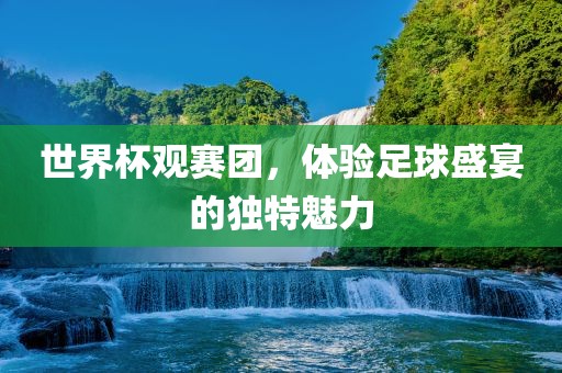 世界杯观赛团，体验足球盛宴的独特魅力