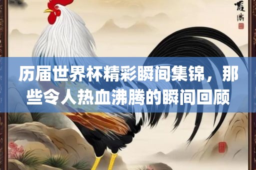 历届世界杯精彩瞬间集锦，那些令人热血沸腾的瞬间回顾