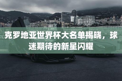 克罗地亚世界杯大名单揭晓，球迷期待的新星闪耀