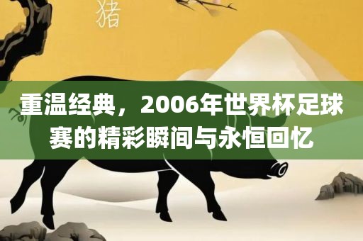重温经典，2006年世界杯足球赛的精彩瞬间与永恒回忆