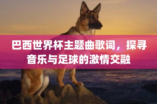 巴西世界杯主题曲歌词，探寻音乐与足球的激情交融