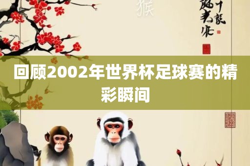 回顾2002年世界杯足球赛的精彩瞬间