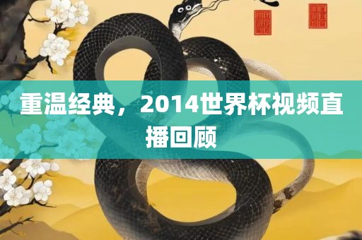 重温经典，2014世界杯视频直播回顾