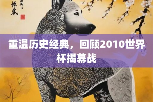 重温历史经典，回顾2010世界杯揭幕战