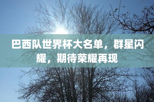 巴西队世界杯大名单，群星闪耀，期待荣耀再现