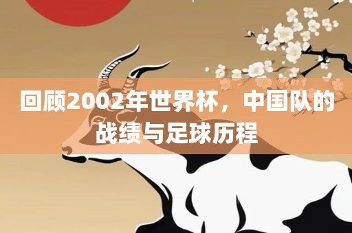 回顾2002年世界杯，中国队的战绩与足球历程