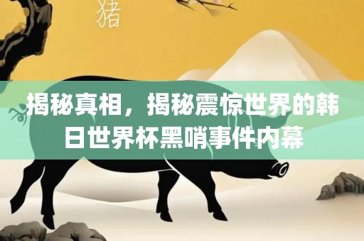 揭秘真相，揭秘震惊世界的韩日世界杯黑哨事件内幕
