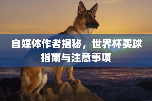 自媒体作者揭秘，世界杯买球指南与注意事项