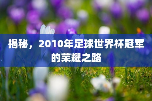 揭秘，2010年足球世界杯冠军的荣耀之路