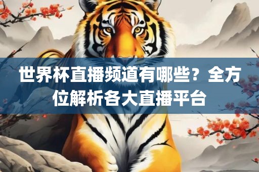世界杯直播频道有哪些？全方位解析各大直播平台