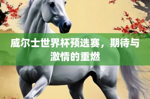 威尔士世界杯预选赛，期待与激情的重燃