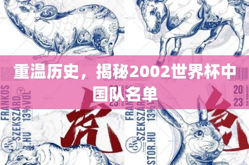 重温历史，揭秘2002世界杯中国队名单