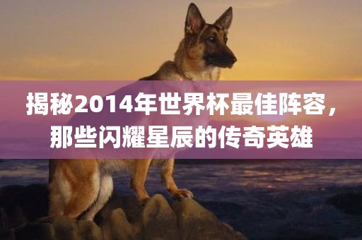 揭秘2014年世界杯最佳阵容，那些闪耀星辰的传奇英雄