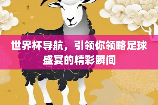 世界杯导航，引领你领略足球盛宴的精彩瞬间