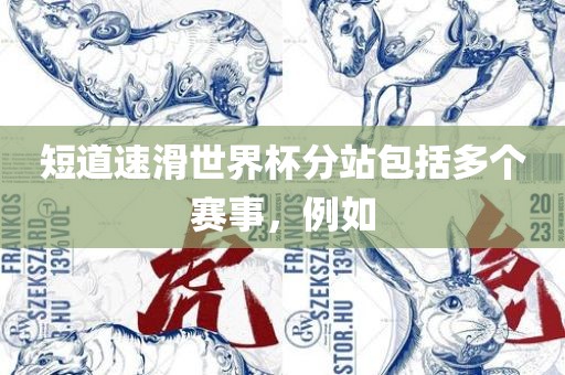短道速滑世界杯分站包括多个赛事，例如
