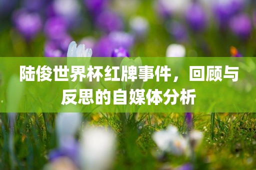 陆俊世界杯红牌事件，回顾与反思的自媒体分析