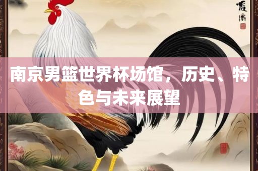 南京男篮世界杯场馆，历史、特色与未来展眉山市正发家政服务有限公司望