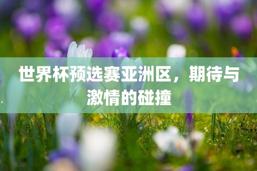 世界杯预选赛亚洲区，期待与激情的碰撞