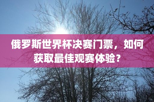 俄罗斯世界杯决赛门票，如何获取最佳观赛体验？
