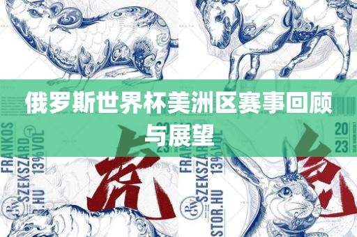 俄罗斯世界杯美洲区赛事回顾与展望