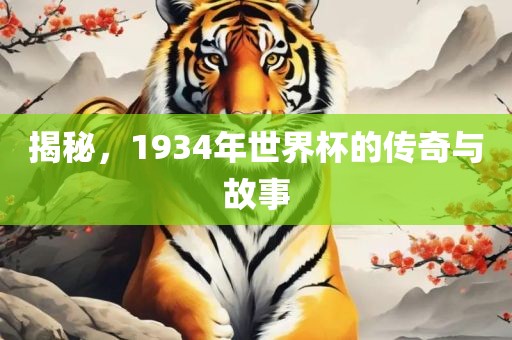 揭秘，1934年世界杯的传奇与故事