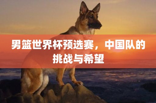 男篮世界杯预选赛，中国队的挑战与希望