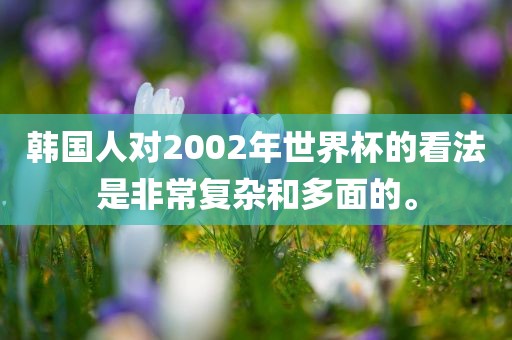 韩国人对2002年世界杯的看法是非常复杂和多面的。