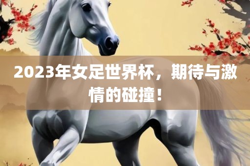 2023年女足世界杯，期待与激情的碰撞！