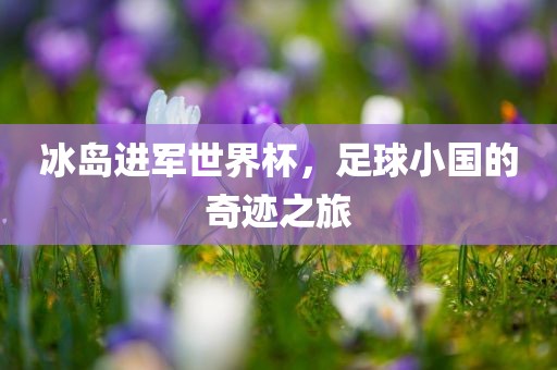 冰岛进军世界杯，足球小国的奇迹之旅