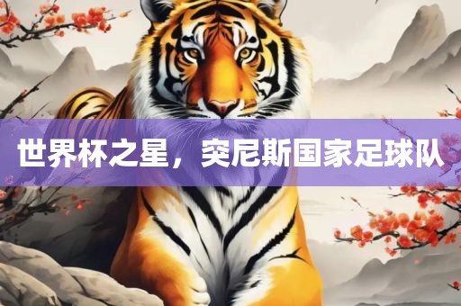 世界杯之星，突尼斯国家足球队
