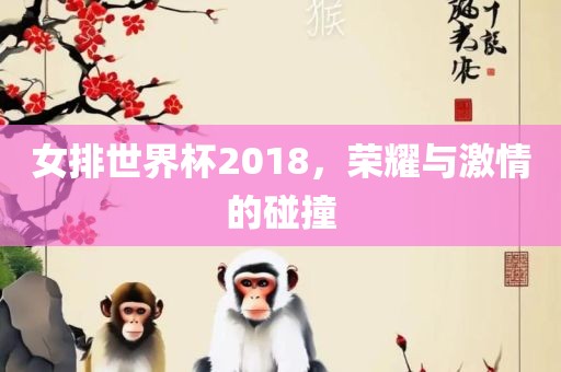 女排世界杯2018，荣耀与激情的碰撞
