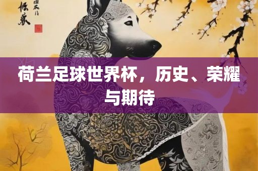 荷兰足球世界杯，历史、荣耀与期待