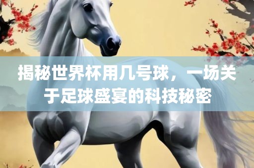 揭秘世界杯用几号球，一场关于足球盛宴的科技秘密