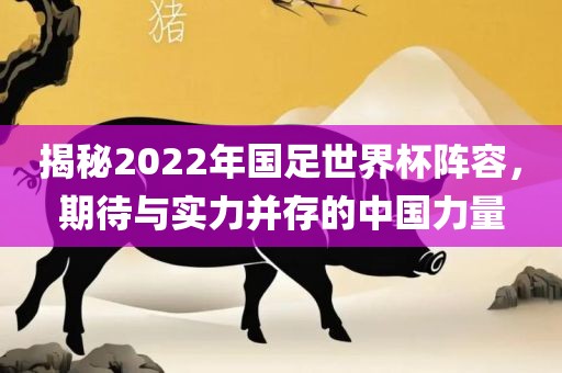 揭秘2022年国足世界杯阵容，期待与实力并存的中国力量