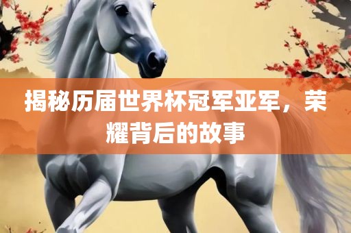 揭秘历届世界杯冠军亚军，荣耀背后的故事