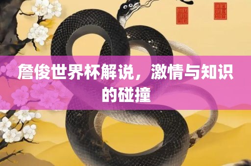 詹俊世界杯解说，激情与知识的碰撞