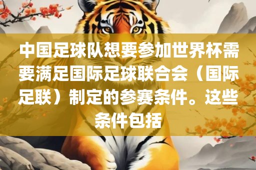中国足球队想要参加世界杯需要满足国际足球联合会（国际足联）制定的参赛条件。这些条件包括