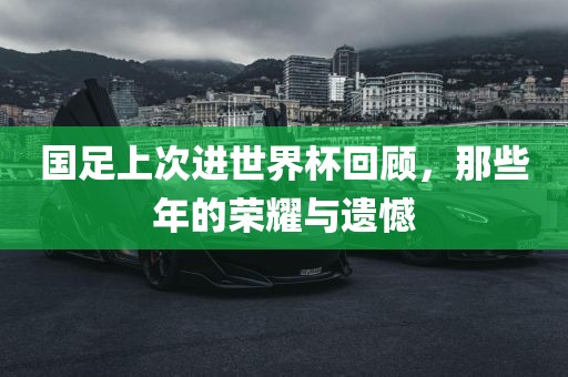 国足上次进世界杯回顾，那些年的荣耀与遗憾