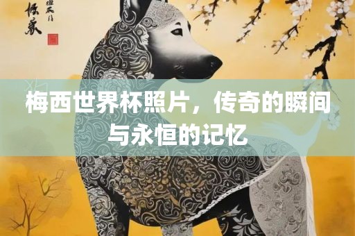 梅西世界杯照片，传奇的瞬间与永恒的记忆